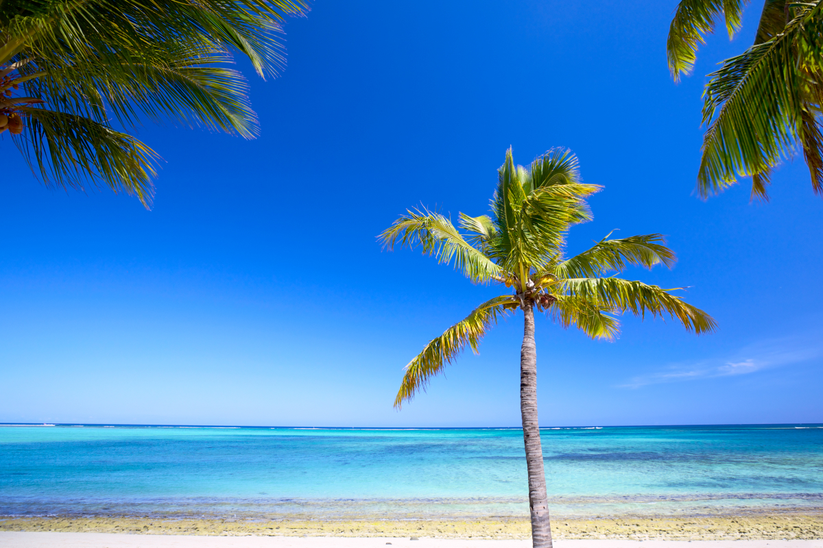 Isla Mauricio playas viaje Uniite
