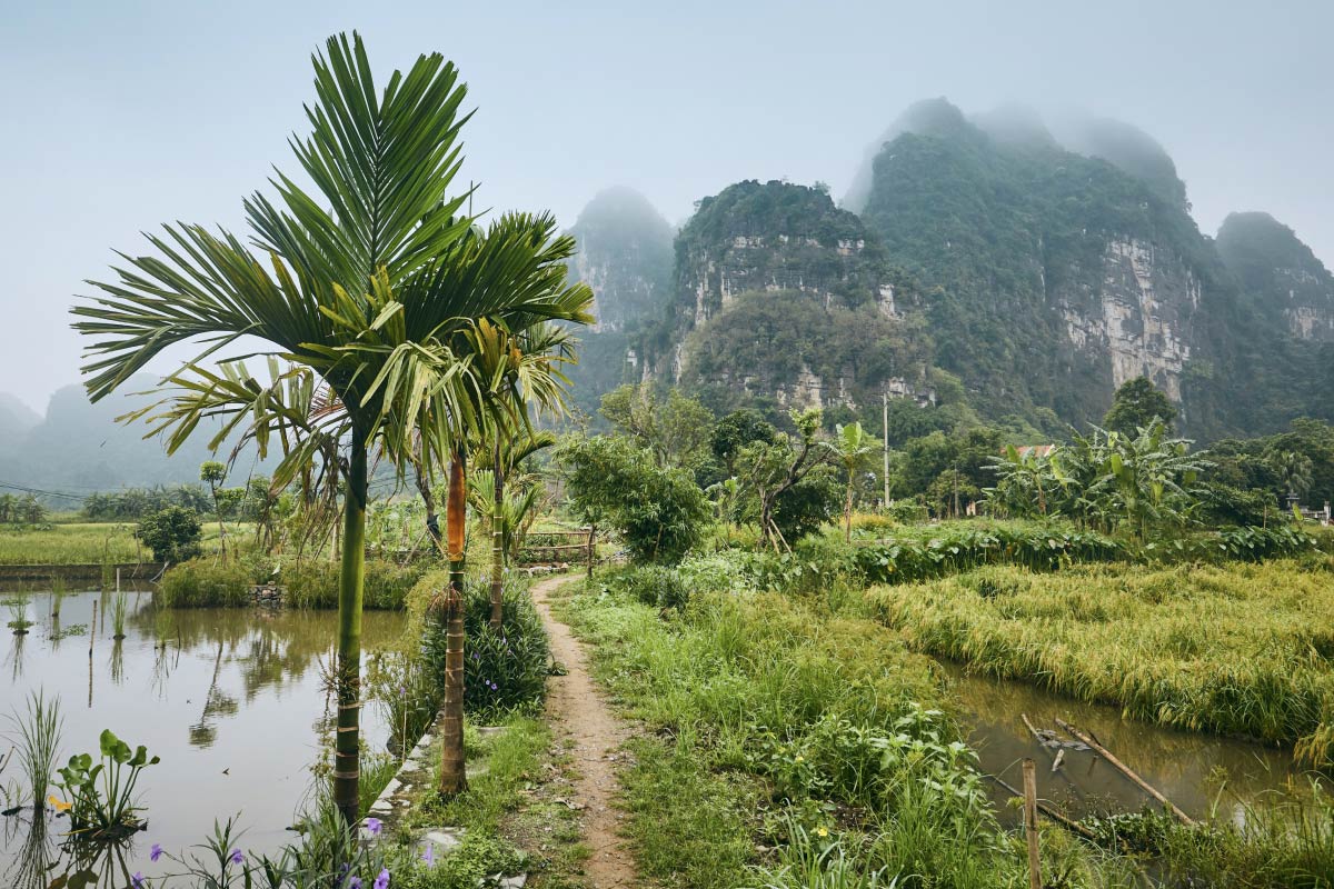 Consejos para viajar a Vietnam, Hoi An