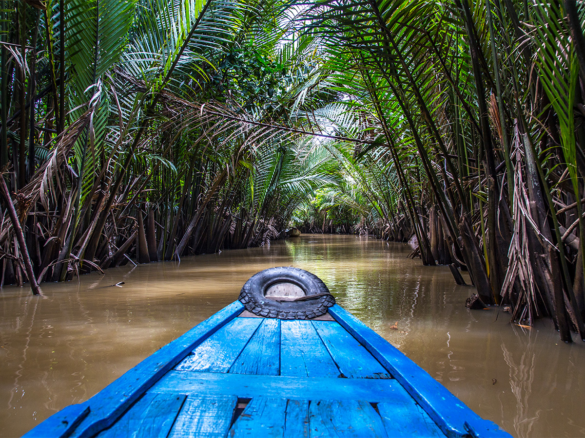 Delta del Mekong Vietnam