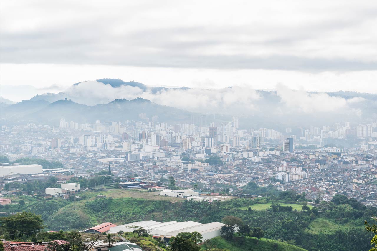 Pereira
