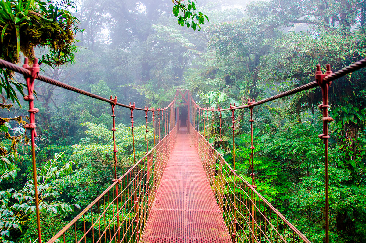 viaje en grupo organizado caminando por un puente en costa rica