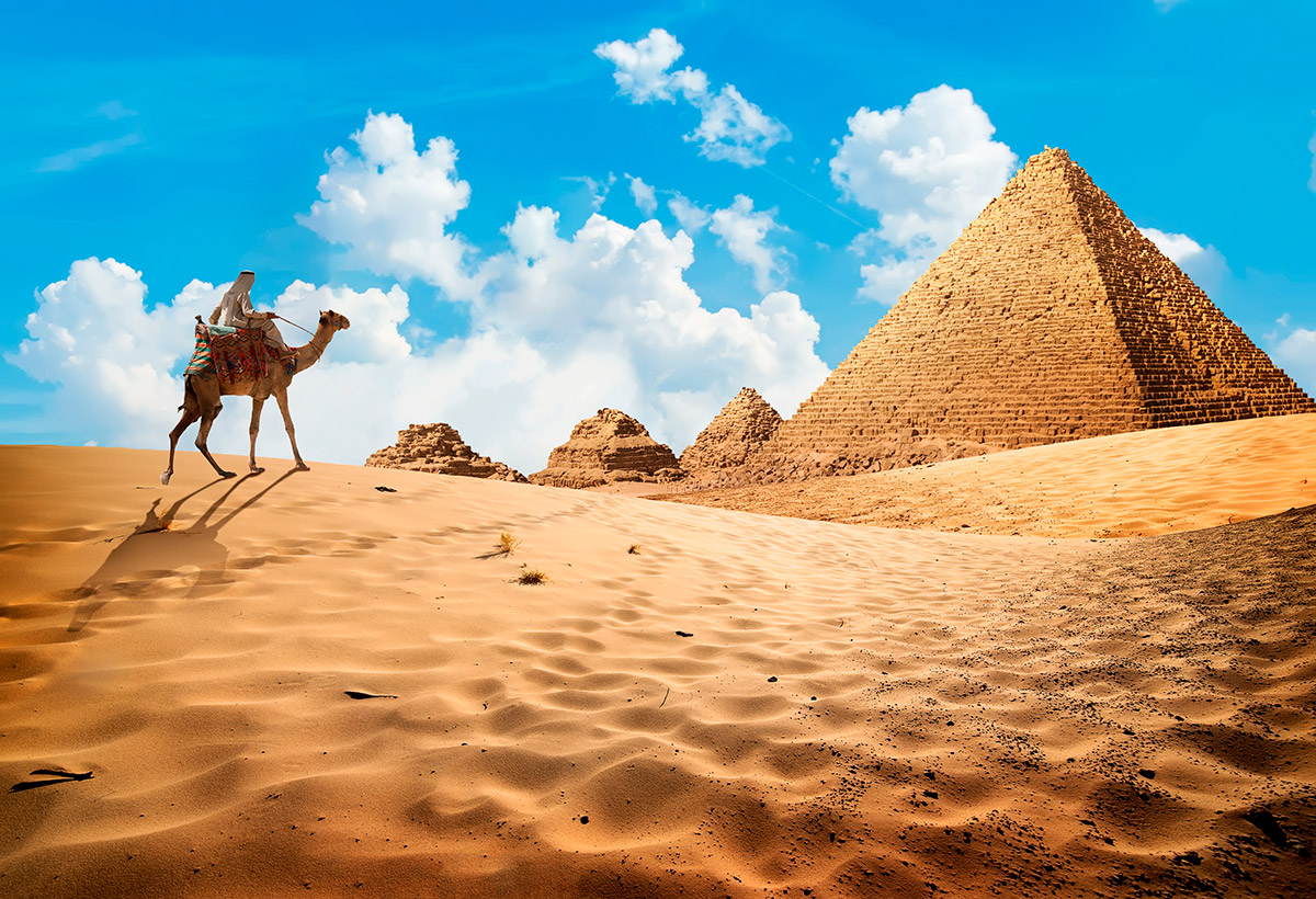 camello en egipto descansando despues de una ruta en grupo organizado