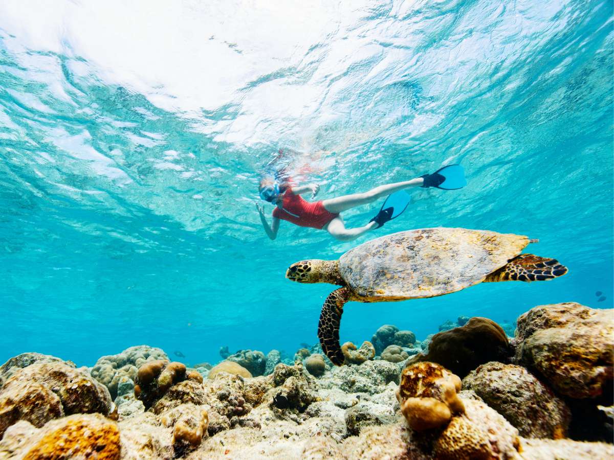 viajar en puente a isla Mauricio