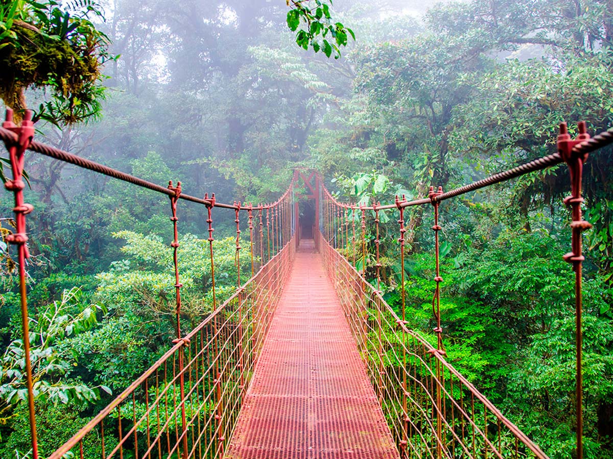 Viaje organizado para conocer nuevas culturas: Costa Rica