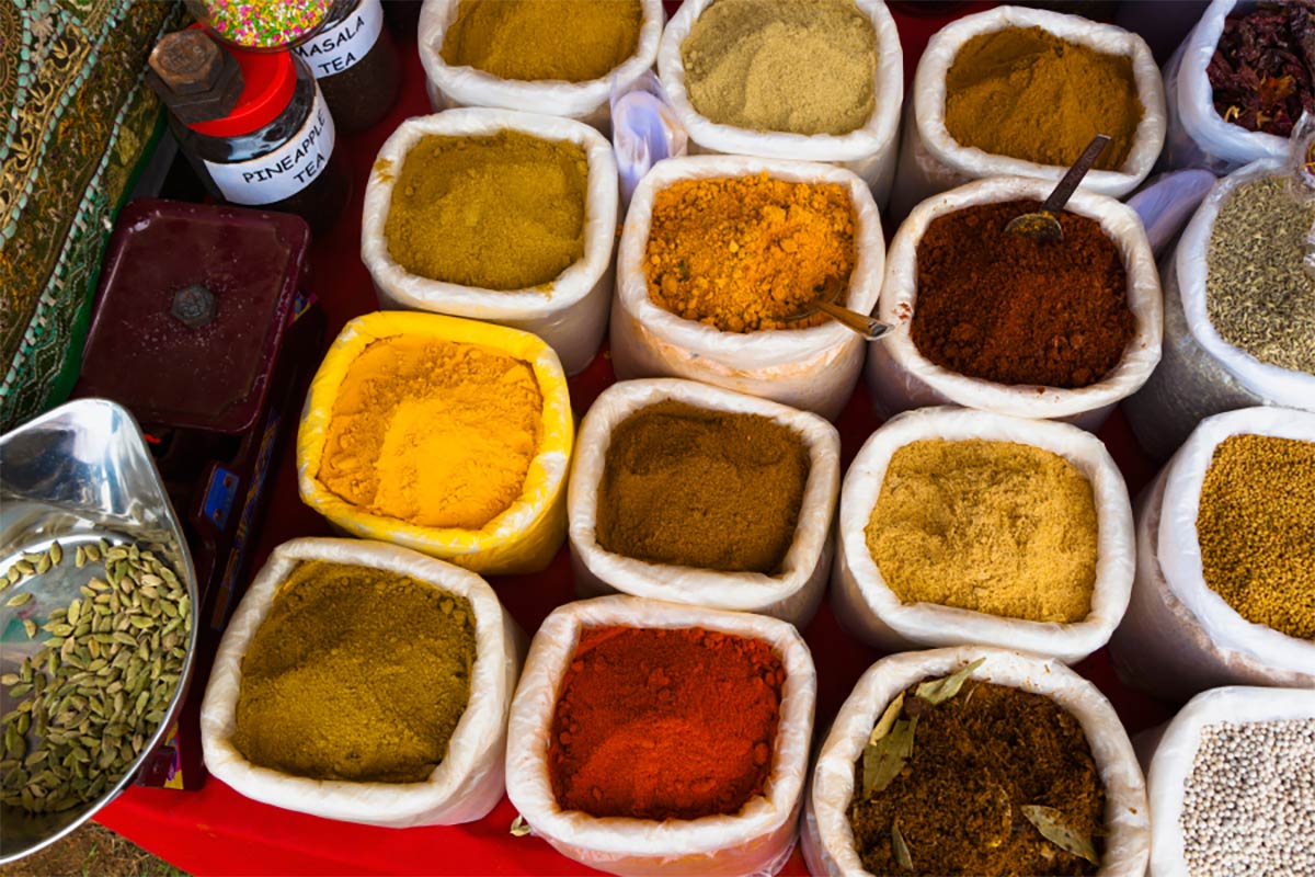 Recomendaciones para tu viaje en la India y Sri Lanka 